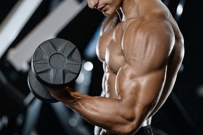 Proviron: An In-Depth Look at the Anabolic Compound